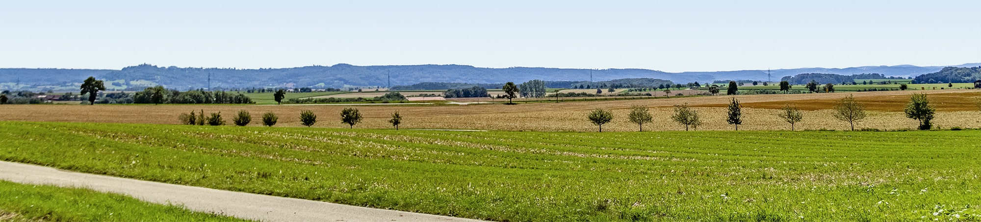 rural field